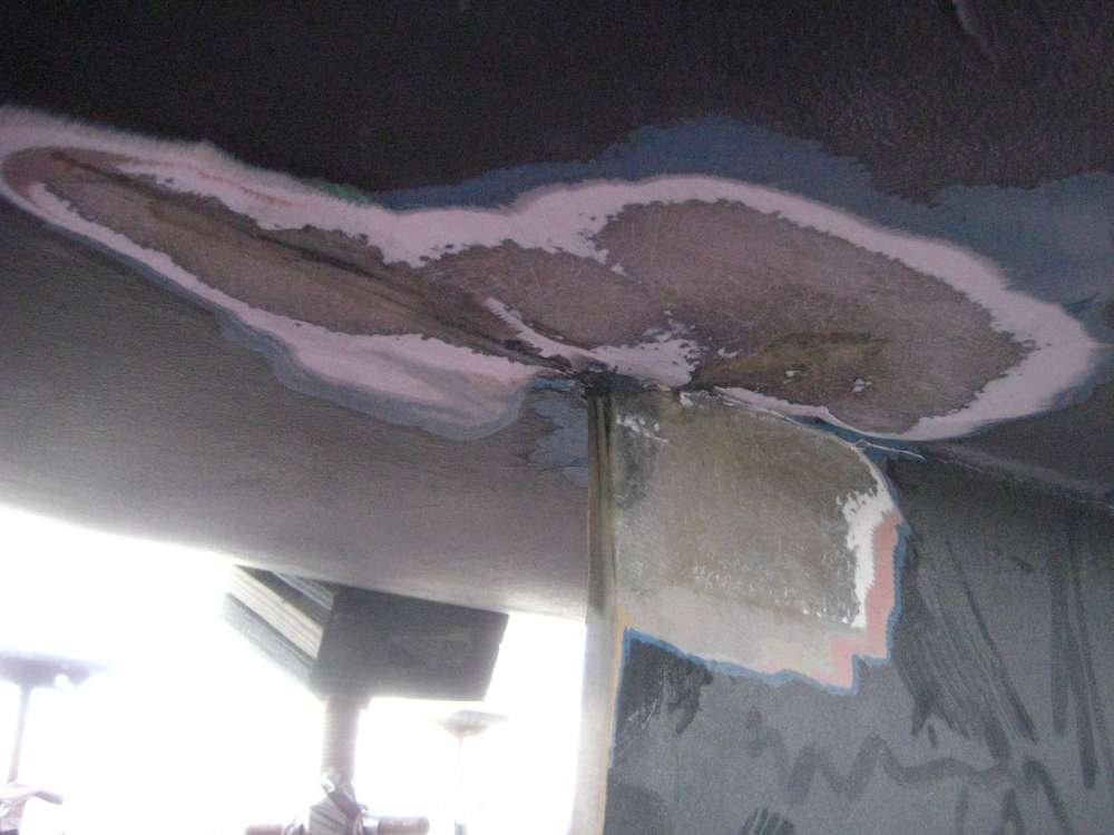 [Linked Image]