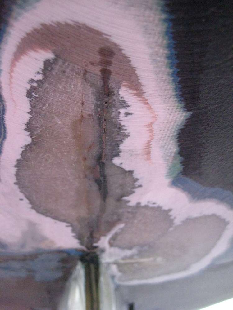 [Linked Image]