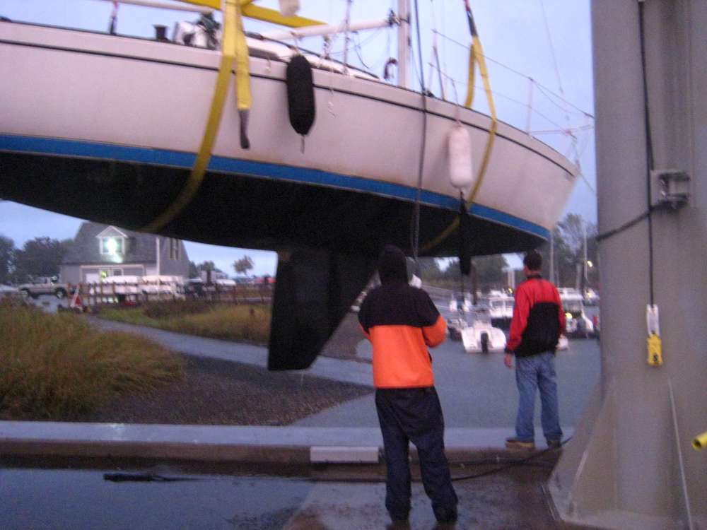 [Linked Image]